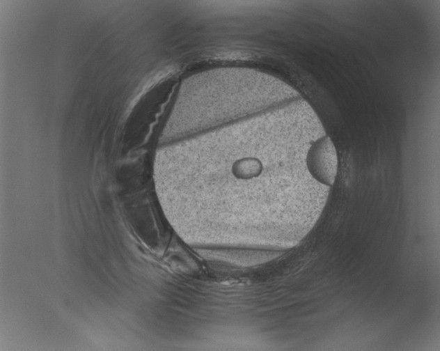 X0000076030731200610201826