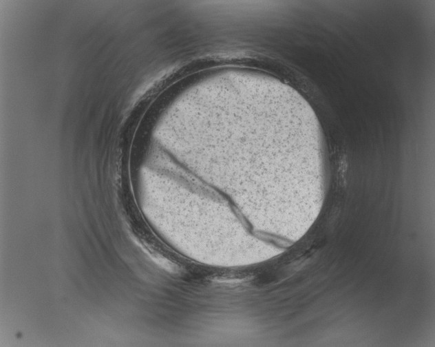 X0000076030732200610201826