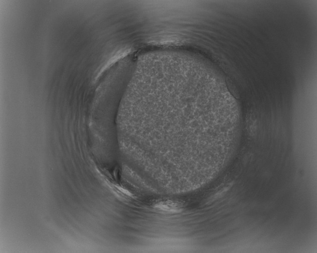 X0000076030735200610201826