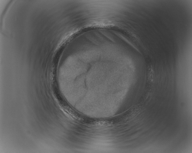 X0000076030736200610201826