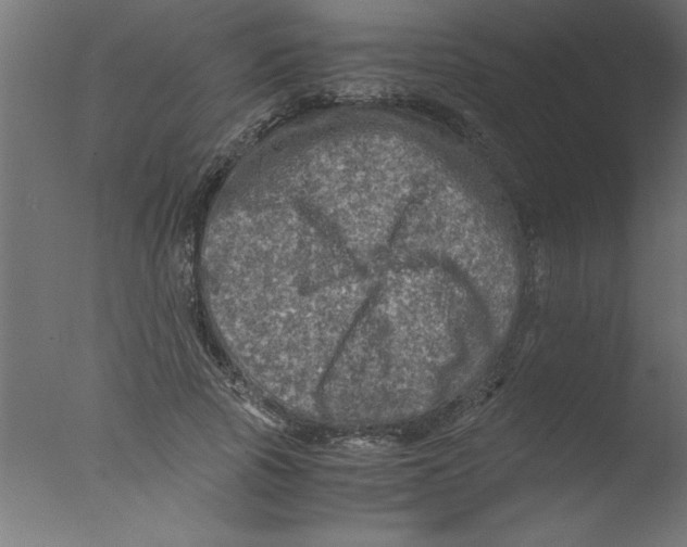 X0000076030737200610201826