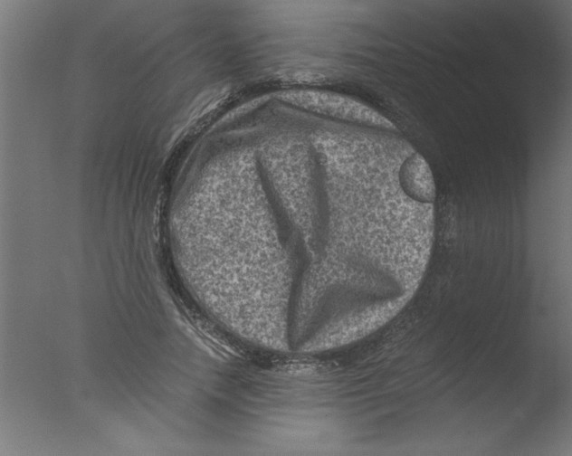 X0000076030738200610201826