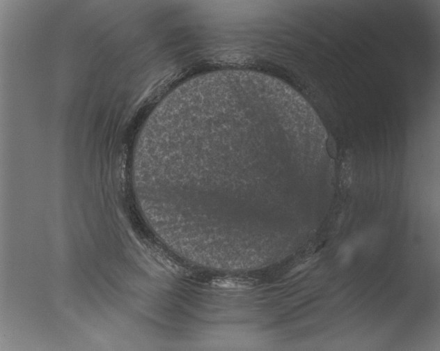 X0000076030739200610201826