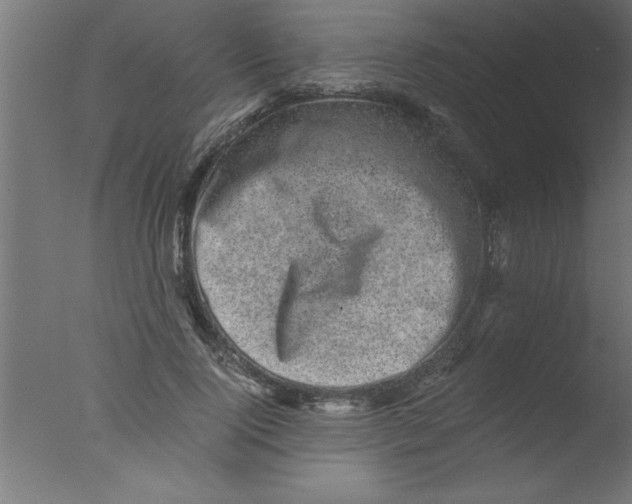 X0000076030740200610201826