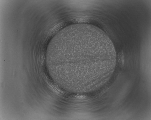 X0000076030741200610201826