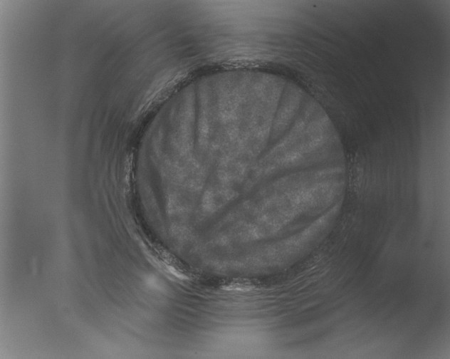 X0000076030742200610201826