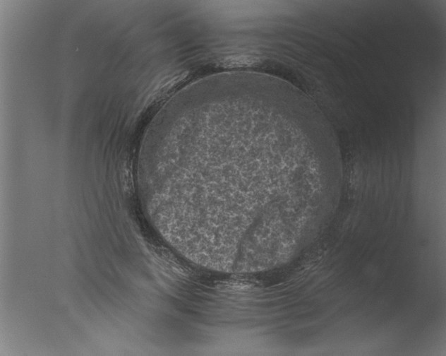 X0000076030743200610201827