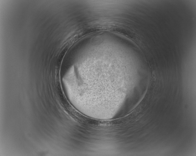 X0000076030744200610201827