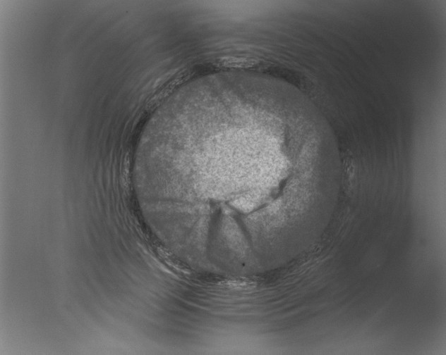 X0000076030745200610201827