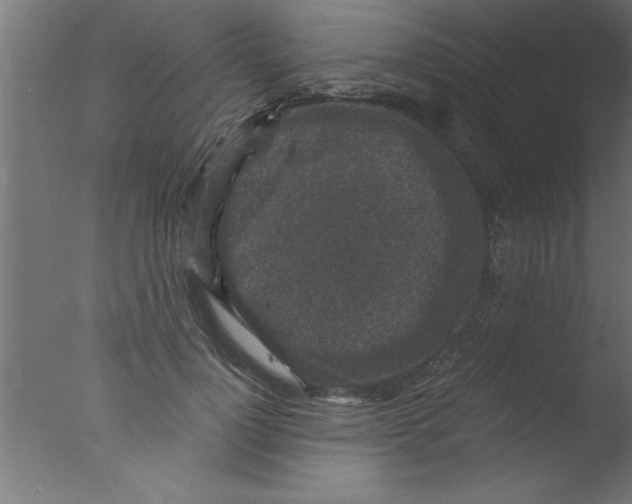 X0000076030748200610201827