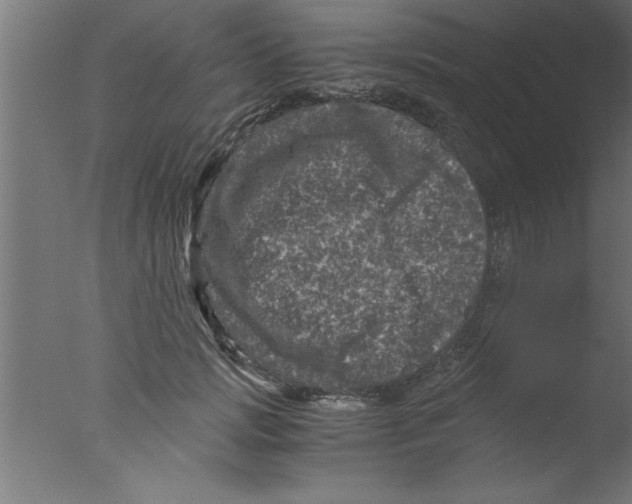 X0000076030749200610201827