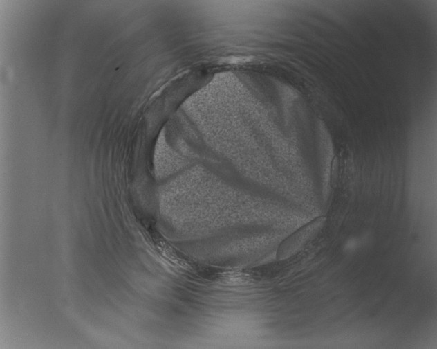 X0000076030750200610201827