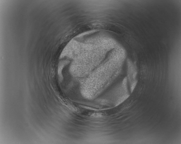 X0000076030751200610201827