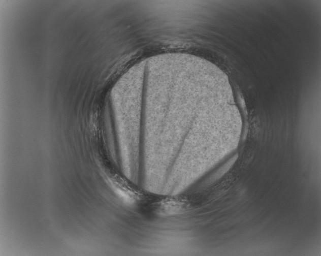 X0000076030756200610201827