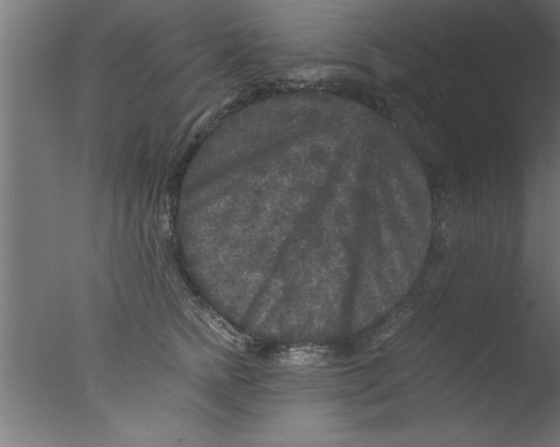 X0000076030758200610201827