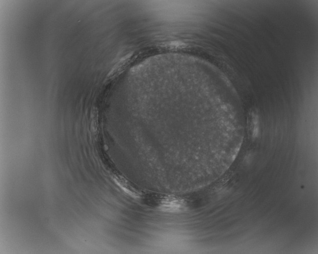 X0000076030760200610201827