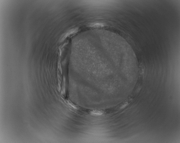 X0000076030762200610201827