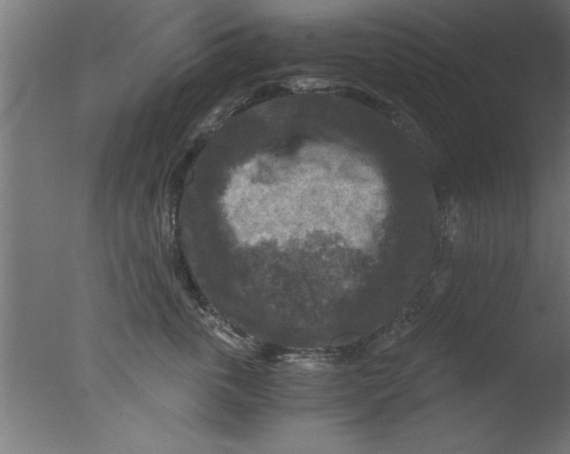 X0000076030763200610201827