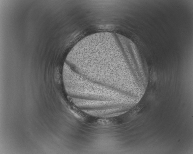 X0000076030764200610201827