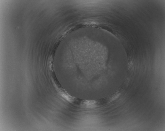 X0000076030767200610201827