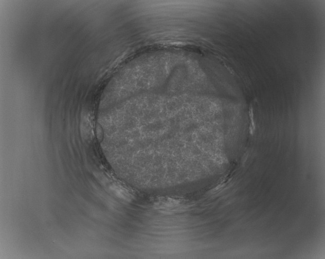 X0000076030772200610201826