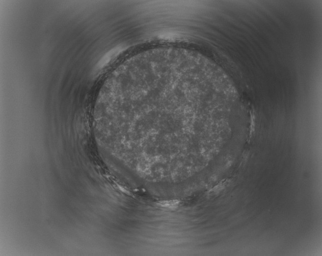 X0000076030776200610201826