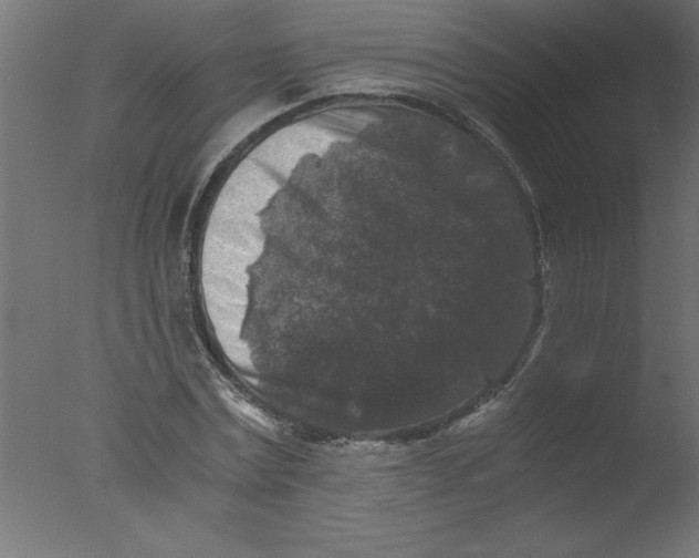 X0000076030779200610201826