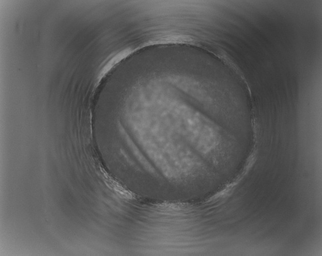 X0000076030781200610201826