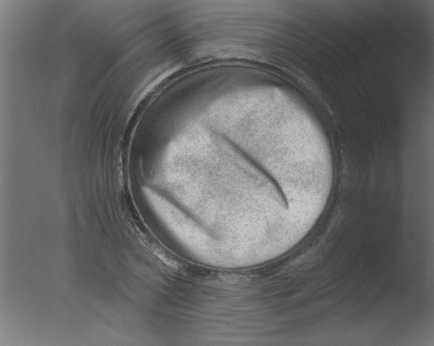 X0000076030782200610201826