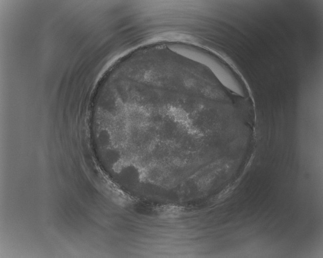 X0000076030783200610201826