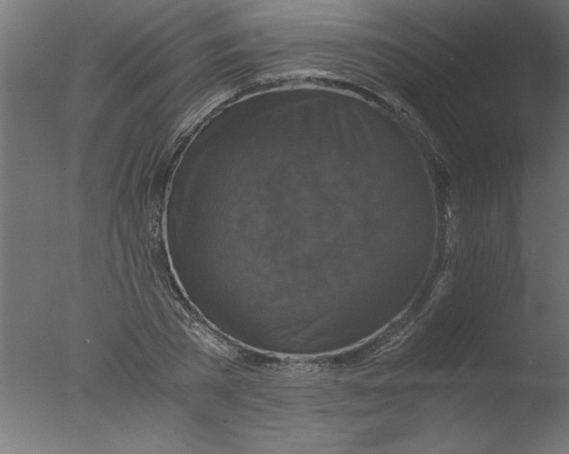 X0000076030785200610201826