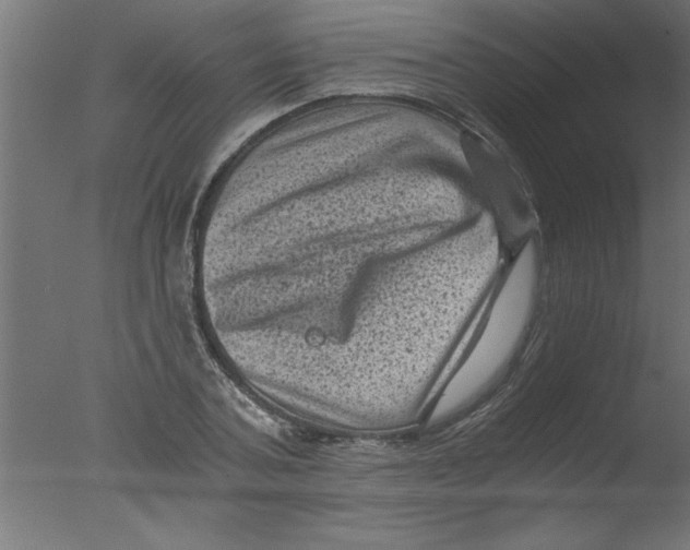 X0000076030787200610201826