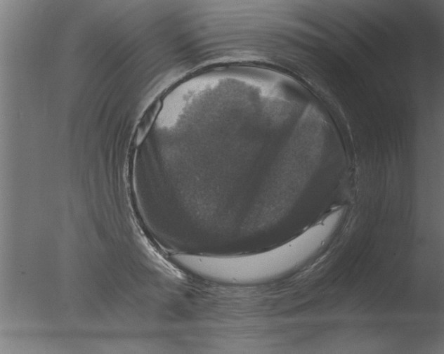 X0000076030797200610201826