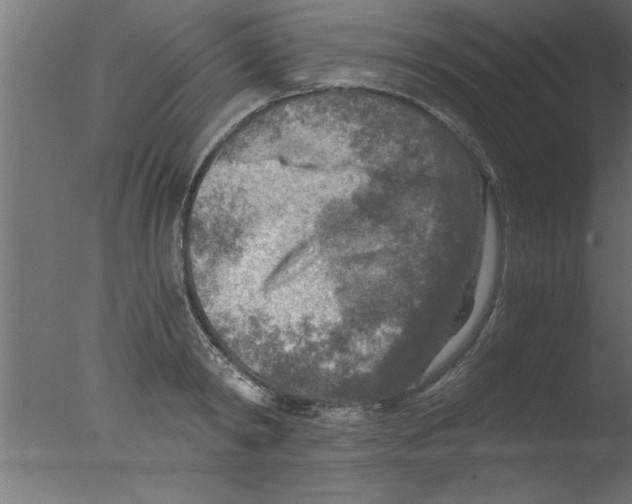 X0000076030798200610201826