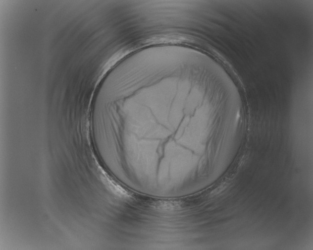 X0000076030802200610201826