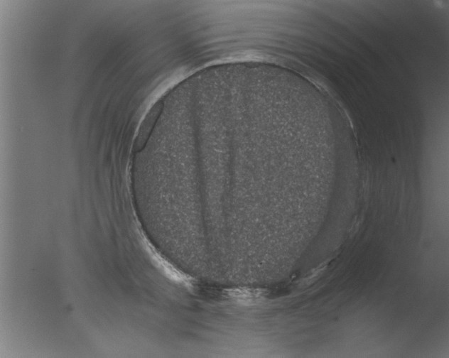 X0000076030805200610201826