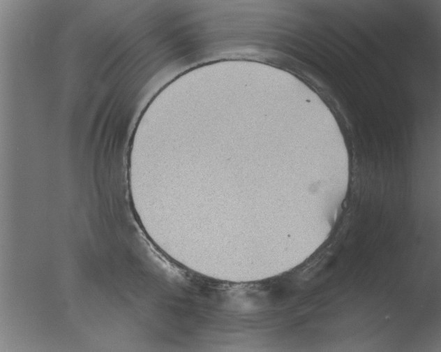 X0000076030808200610201825