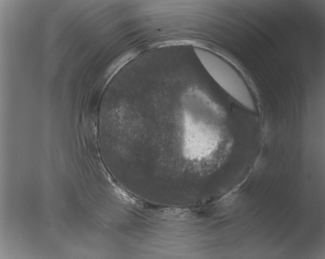 X0000076030809200610201825