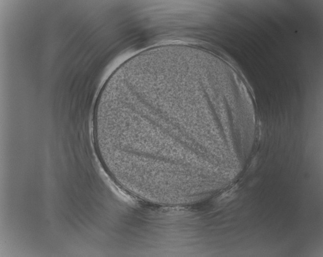 X0000076030811200610201825