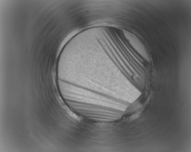 X0000076030812200610201825