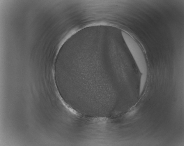 X0000076030813200610201825