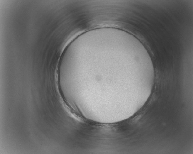 X0000076030814200610201825