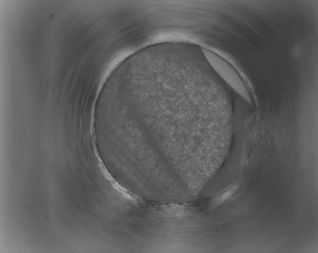 X0000076030815200610201825