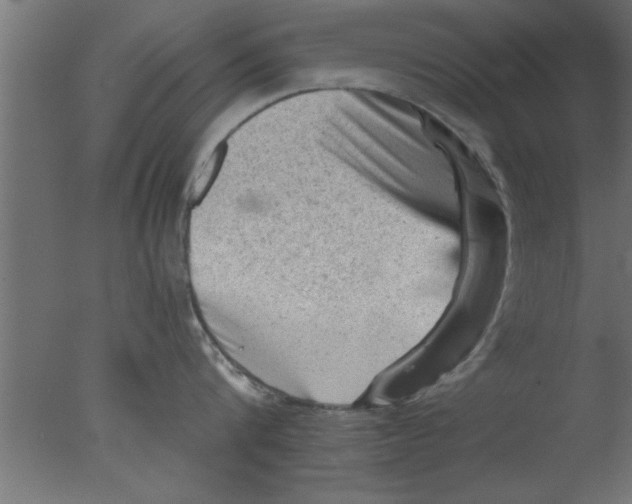 X0000076030816200610201825