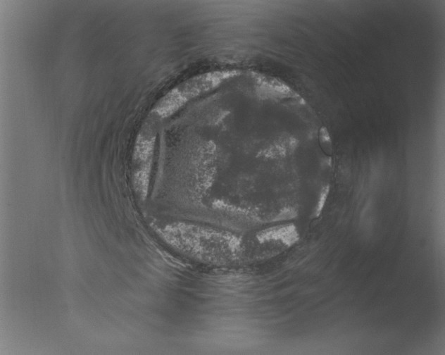 X0000076030817200610201824