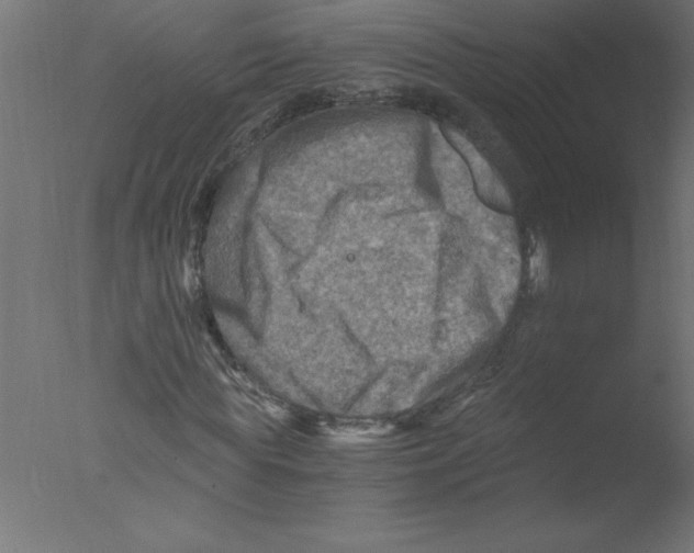 X0000076030819200610201825