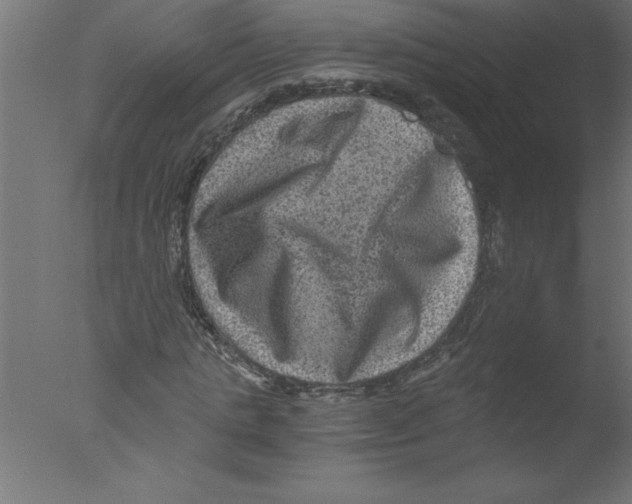 X0000076030821200610201825