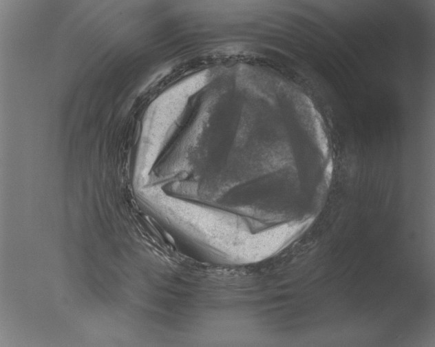 X0000076030823200610201825