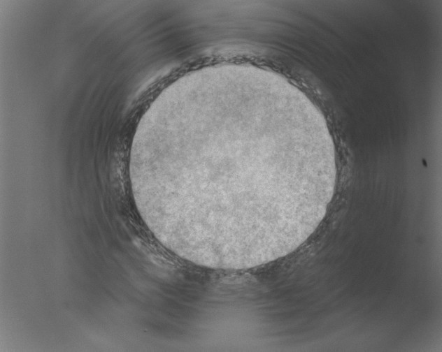 X0000076030824200610201825