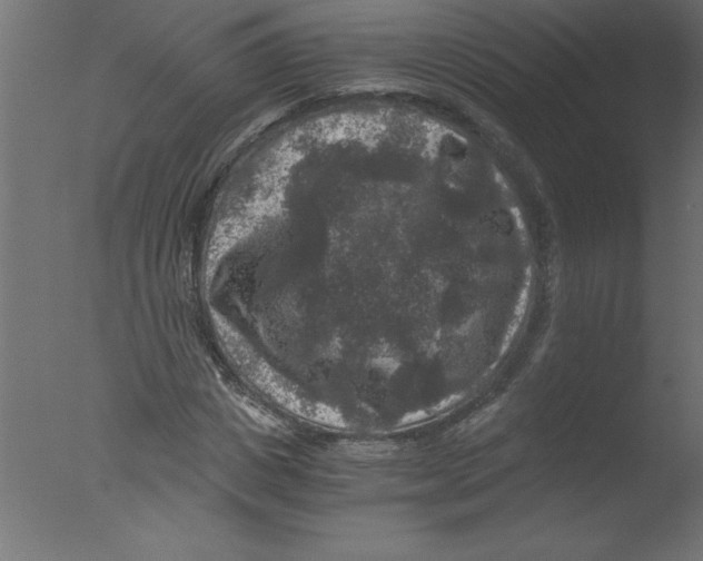 X0000076030825200610201825